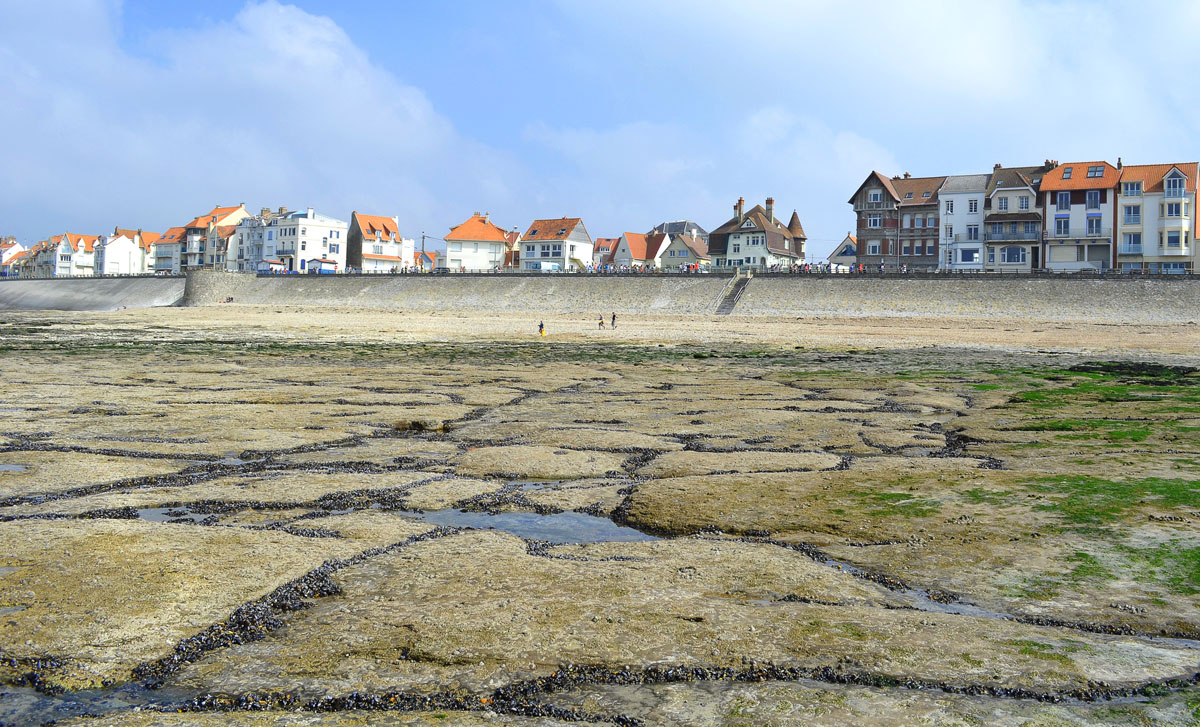 mare basse ambleteuse