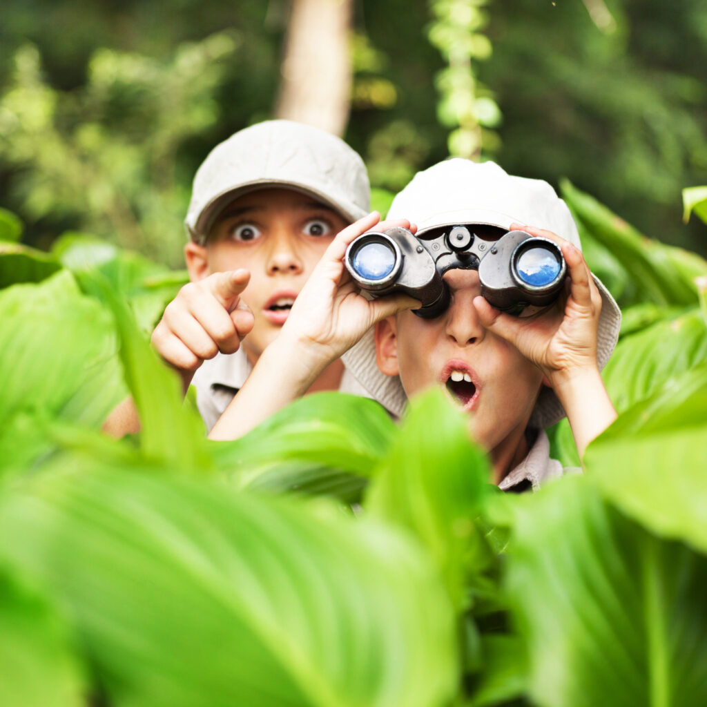 excited young campers hiding in grass looking through binoculars